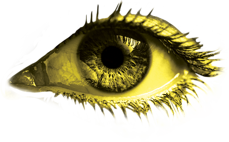 Right Yellow Eye